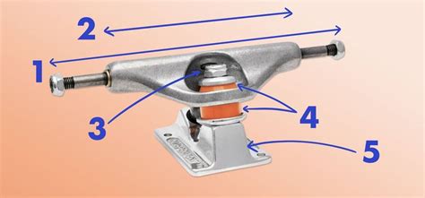 Componenti del truck dello skateboard