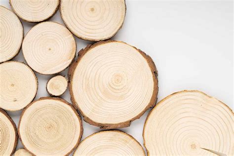 Esempi di utilizzo dei dischi in legno