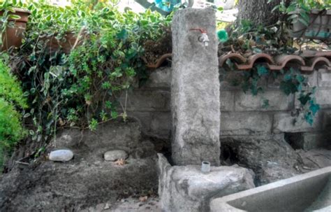 Fontanella fai da te con tronco di cipresso