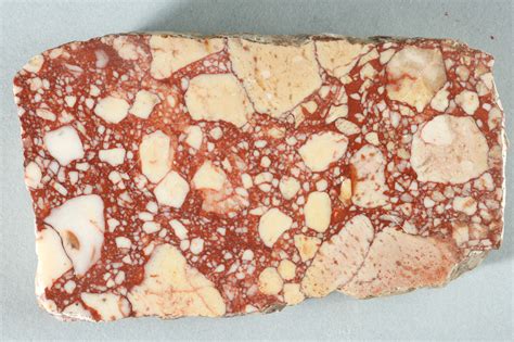 Frammenti di breccia corallina a Lucera