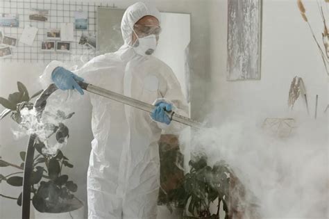 Fumigazione professionale antitarlo