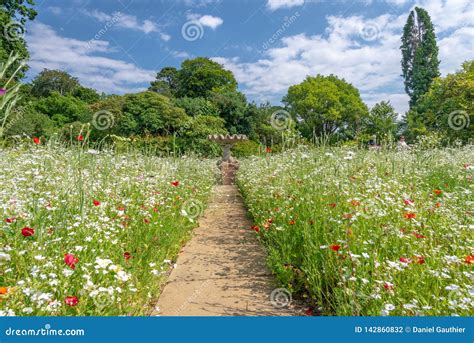Giardino selvaggio