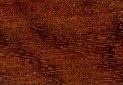 Legno Iroko