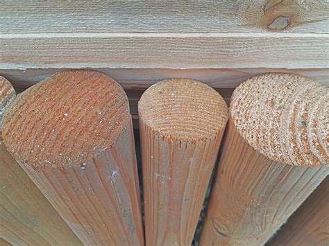 Legno di Douglasia