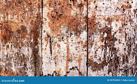 Legno marcio