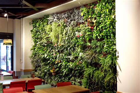 Parete verde interna con diverse piante