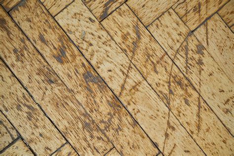 Parquet scolorito