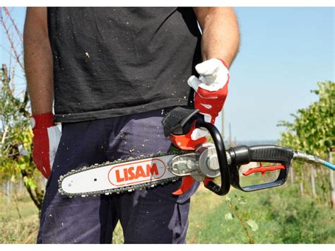 Potatura con seghetto pneumatico