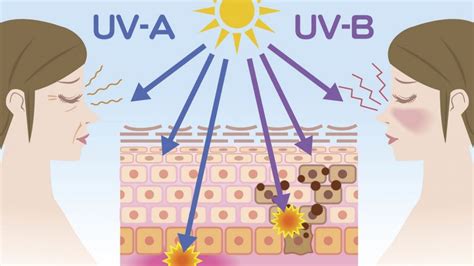 Protezione raggi UV parquet