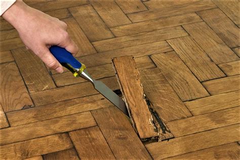 Riparazione Parquet