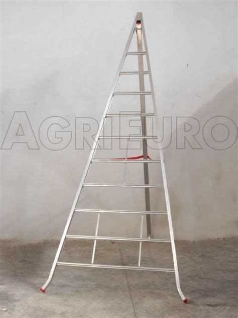 Scala a tre piedi per potatura