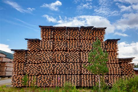 Stagionatura naturale del legno