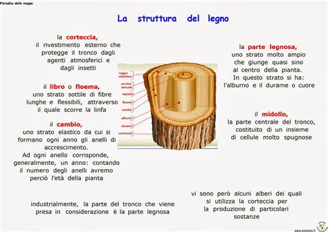 Struttura in legno