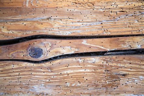 Tarli del legno su travi