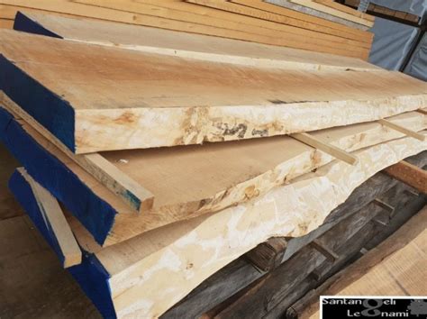 Tavole in Acero Massello