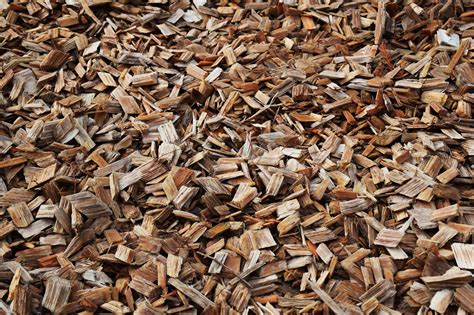 Trucioli di legno