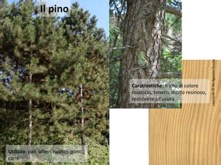 Utilizzi del palo in legno