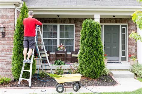 Utilizzi in Giardinaggio