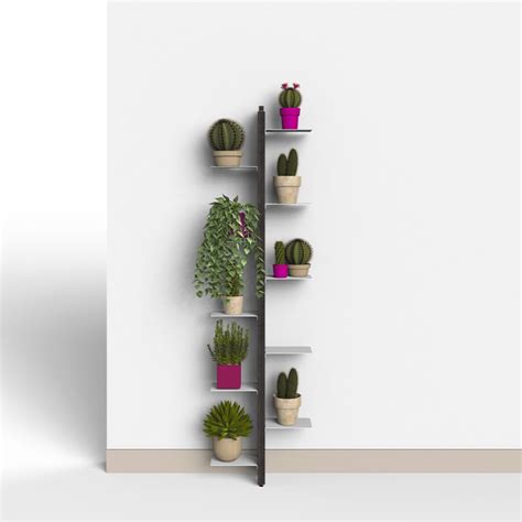 Zia Flora portavasi da interno